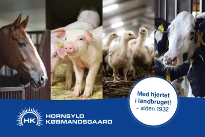 StoubyMultihus_Hornsyld_Koebmandsforretning_original